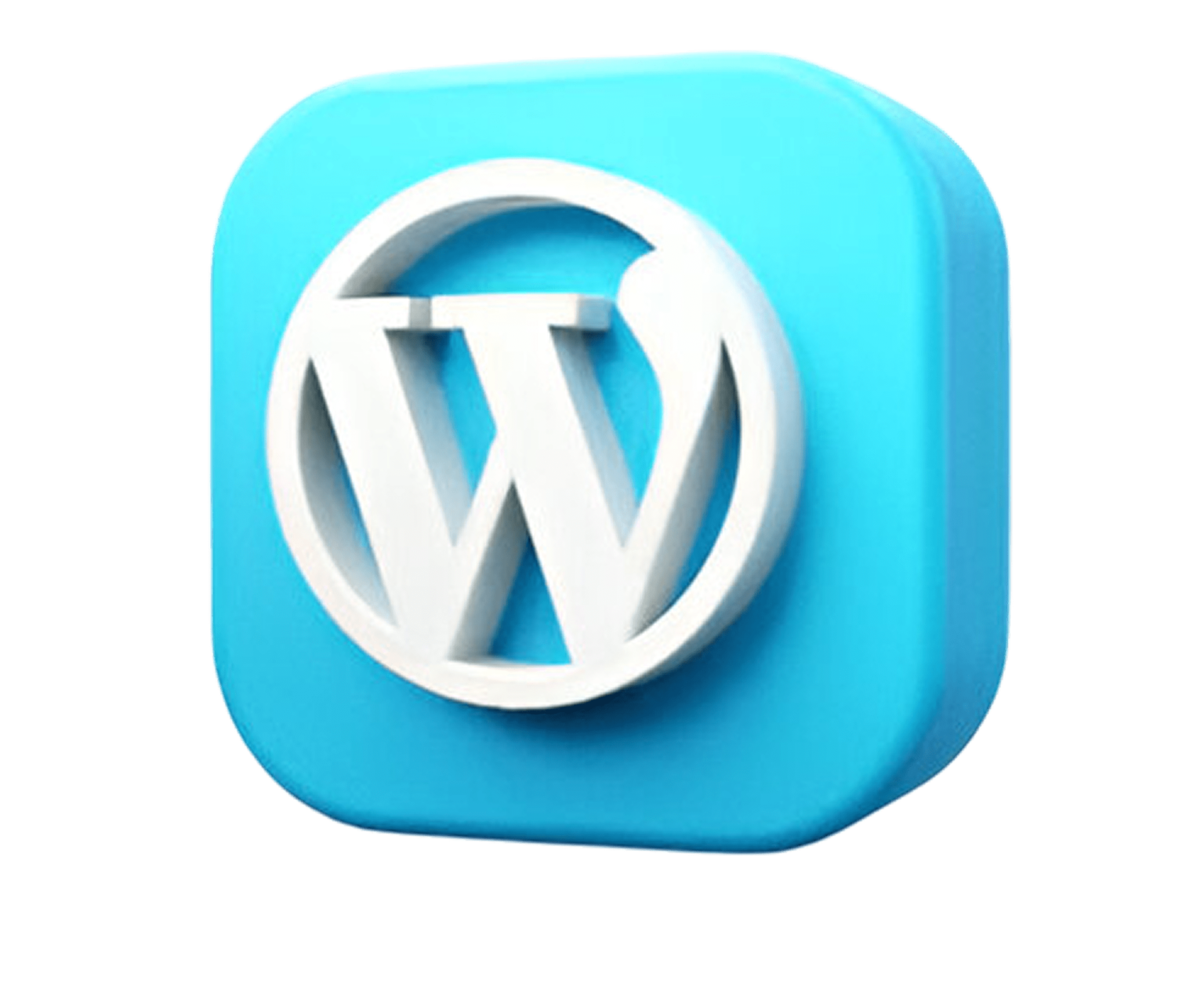 WordPress Development - Orbit Edge Tech